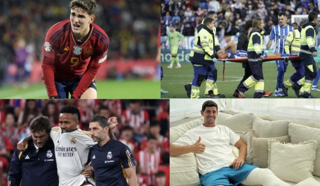 示了他們的 示了他們的